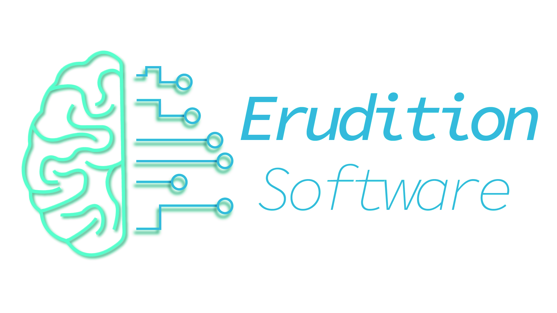 Erudition Software Logo